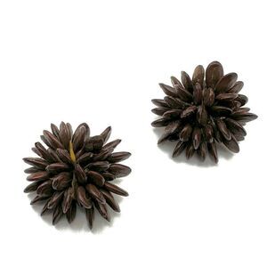 Vintage brown Koa seed clip on earrings